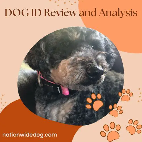 DOG ID Review and Analysis