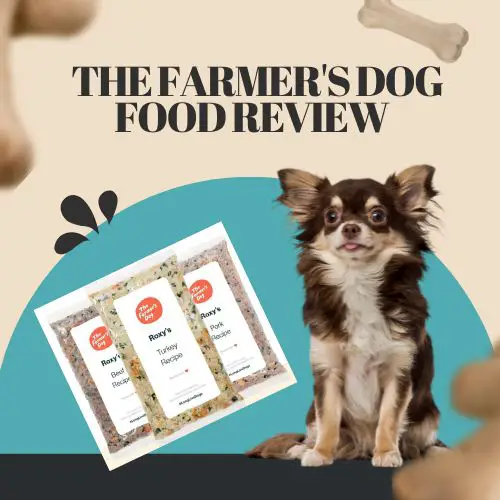 The Farmer’s Dog Food Review and Analysis