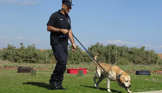 Policeman with a dog