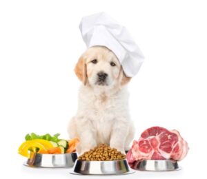 Small cute dog playing cook with food ready to be prepared