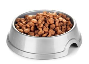 Some dry dog food in a metal bowl waiting to be eaten by a pup