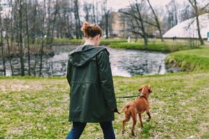 Lady walking dog through a park